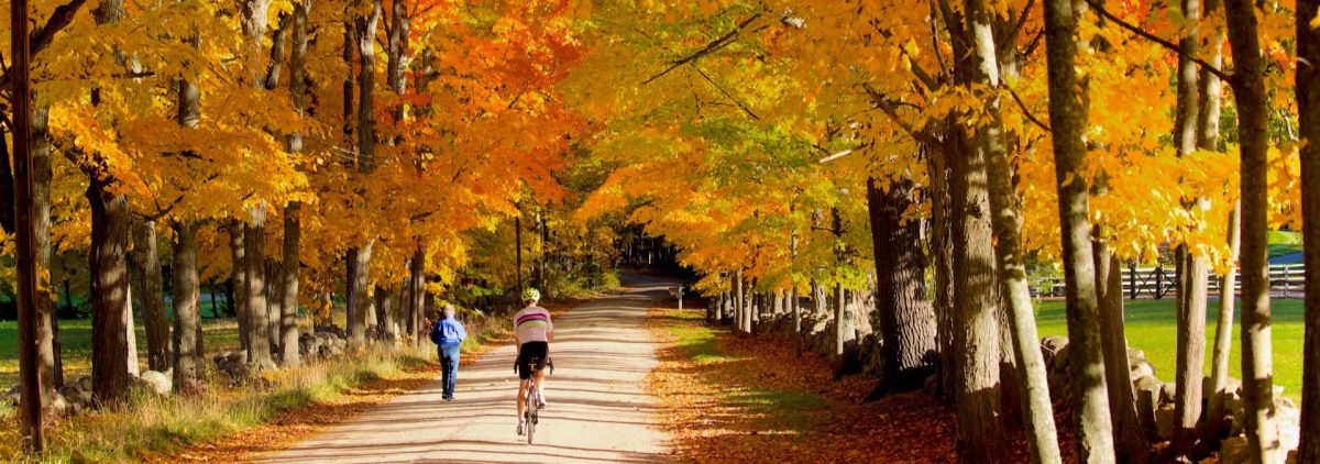 In a thin image, a man rides a bike, and a woman walks along a dirt path under golden-colored trees amid New Hampshire’s fall real estate market.